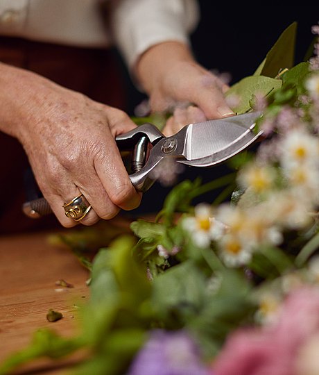 Life enrichment and wellbeing